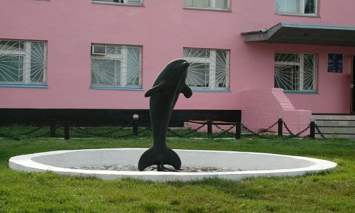 тюрьма черный дельфин